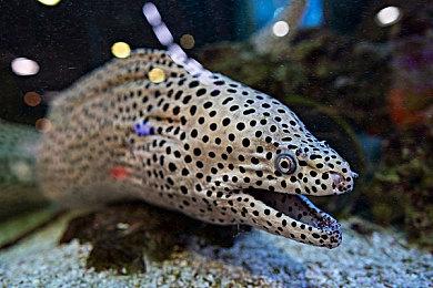 《地球防卫军4.1》Switch版发布两部新预告 12月22日发售