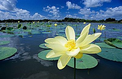 《光环：士官长合集》Steam国区永涨 售价翻倍