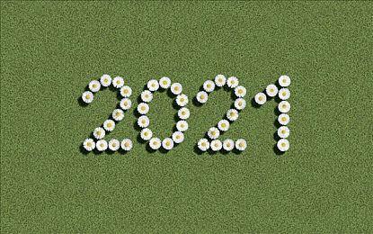 微软为会议软件添加游戏应用 可与同事一起玩《扫雷》